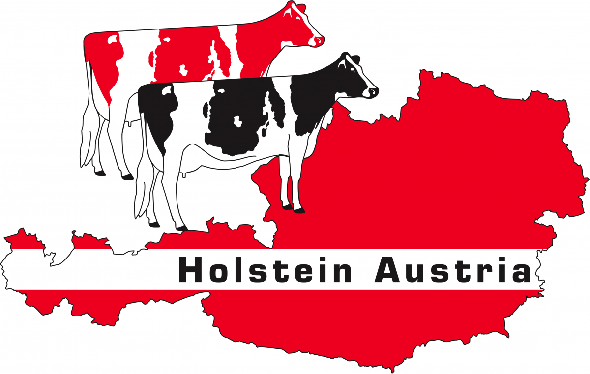 holstein